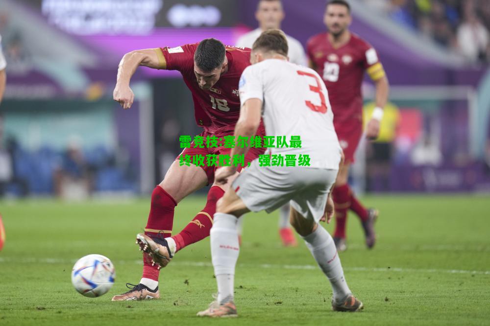 雷竞技:塞尔维亚队最终收获胜利，强劲晋级