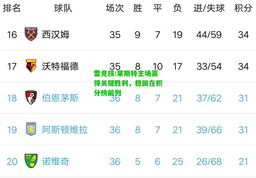 雷竞技:莱斯特主场赢得关键胜利，稳固在积分榜前列